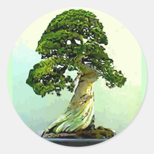 Adesivo Árvore de Cypress dos bonsais