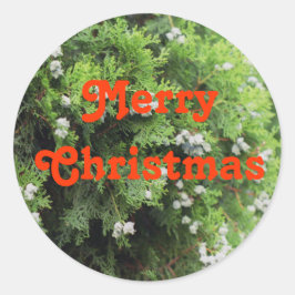 Adesivo Árvore de Férias