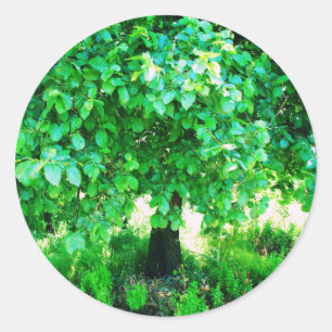 ADESIVO ÁRVORE DE VIDA