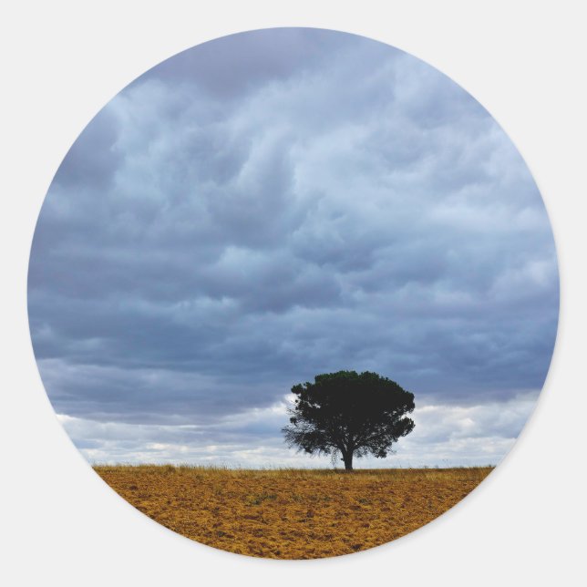 Adesivo Árvore em um campo vazio (Frente)