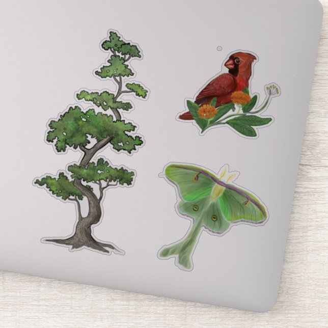 Adesivo Árvore, Luna Moth e Cardinal Bird Nature (Detalhe)