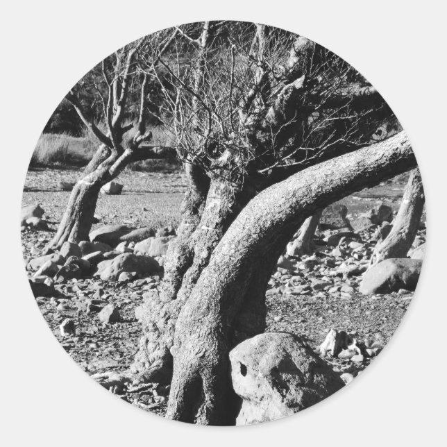 ADESIVO ÁRVORES PRETAS E BRANCAS (Frente)