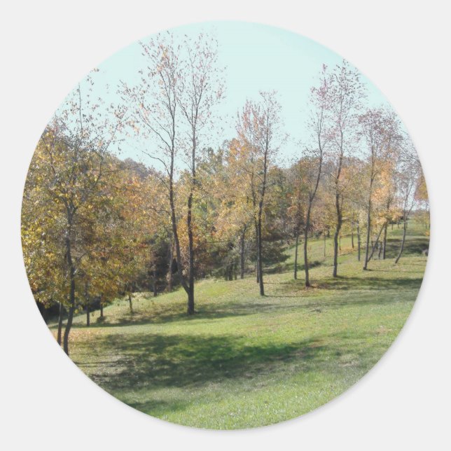 Adesivo Árvores primavera (Frente)