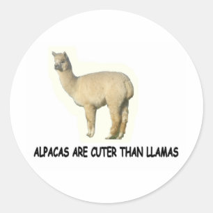 Adesivo As alpacas são mais bonitos do que lamas