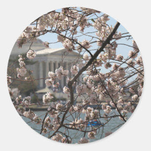 Adesivo As Cerejeiras em Flor em Washington DC