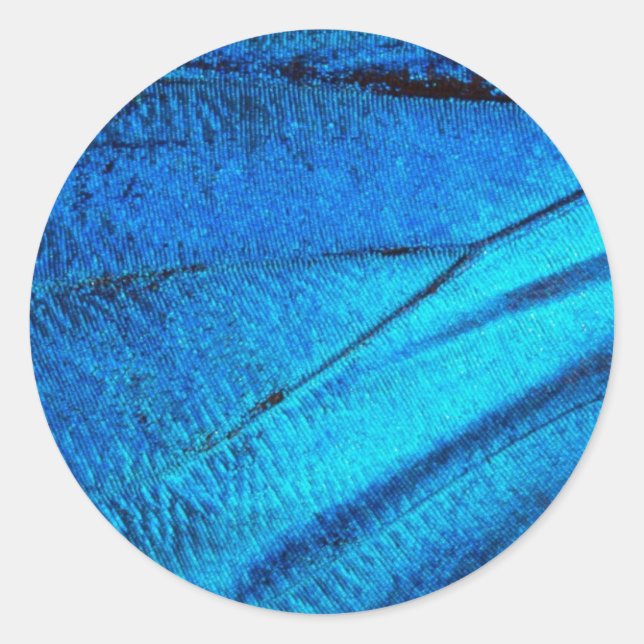 Adesivo Asa Azul Iridescente da Borboleta (Frente)