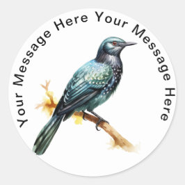 Adesivo Asiático Koel