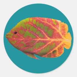 Adesivo Aspen Peixe Tropical 1