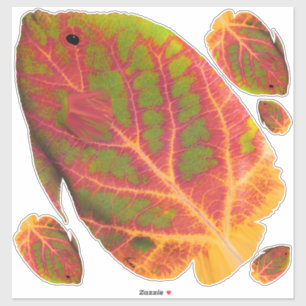 Adesivo Aspen Peixe Tropical 1