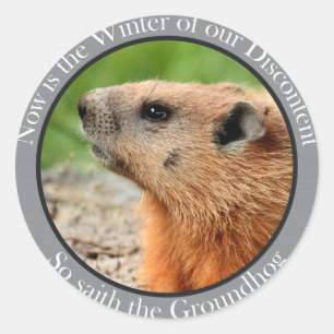 Adesivo Assim saith o groundhog