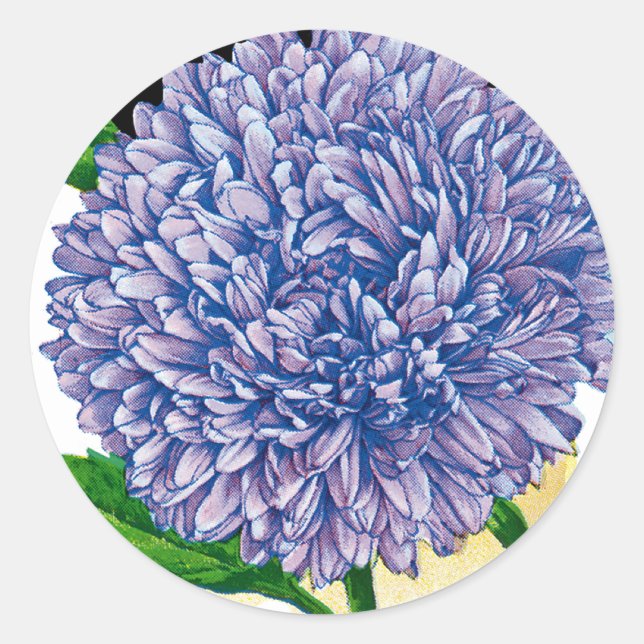 Adesivo Aster Vintage Seed Packet (Frente)