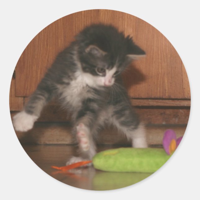 Adesivo Ataque de mosca (Frente)