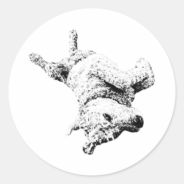 Adesivo Atitude de Belly Up (Frente)