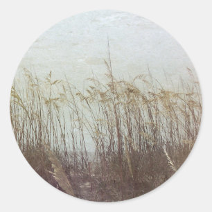 Adesivo Através das Dunas II