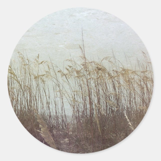 Adesivo Através das Dunas II (Frente)