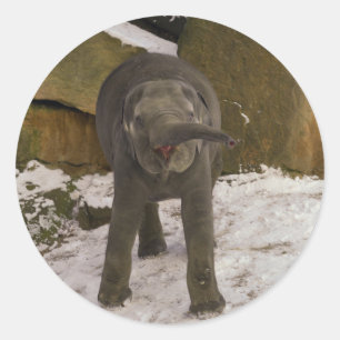 Adesivo Atrompetando Elefante Para Bebê Na Neve