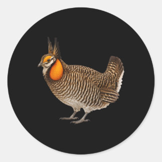 Adesivo Attwaters Prairie Chicken Bird Wildlife Nature 