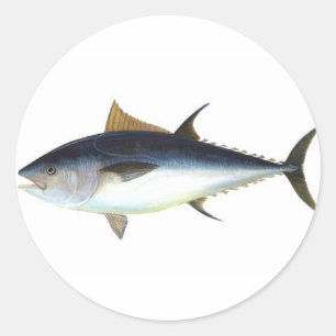 Adesivo Atum de Bluefin