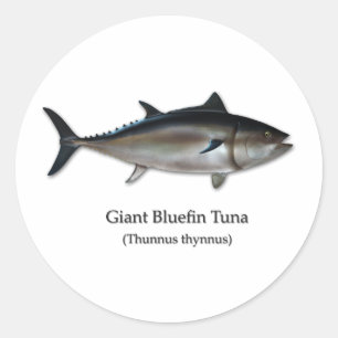 Adesivo Atum de Bluefin gigante
