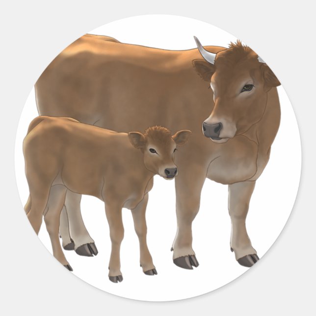 Adesivo Aubrac or Jersey Brown Cow & Cute Calf Cattle Ranc (Frente)