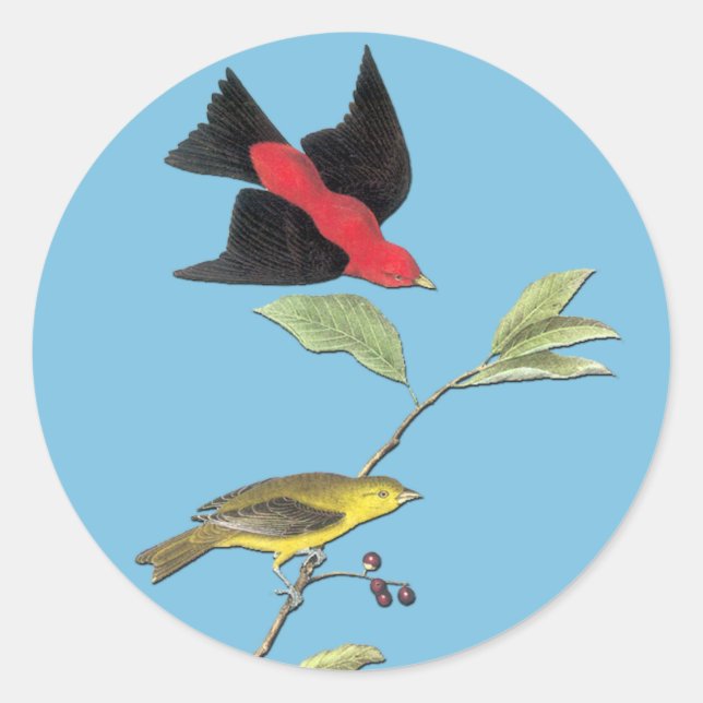 Adesivo Audubon Scarlet Tanager Bird Art Stickers (Frente)