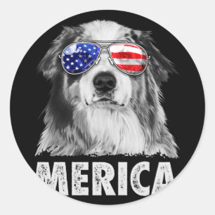 Adesivo Aussie pastor australiano 4 de julho merica