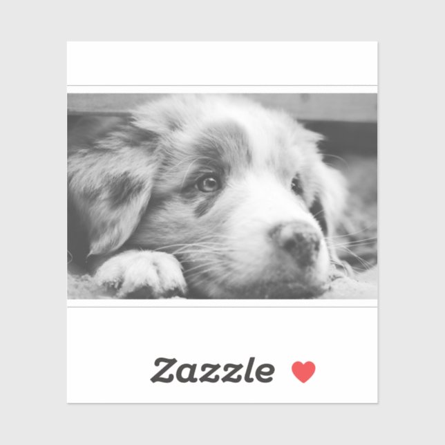 Adesivo australian shepherd puppy bw (Folha)