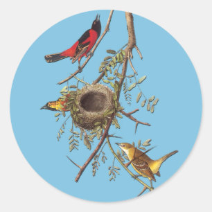 Adesivo Autoadesivos Oriole Oriole