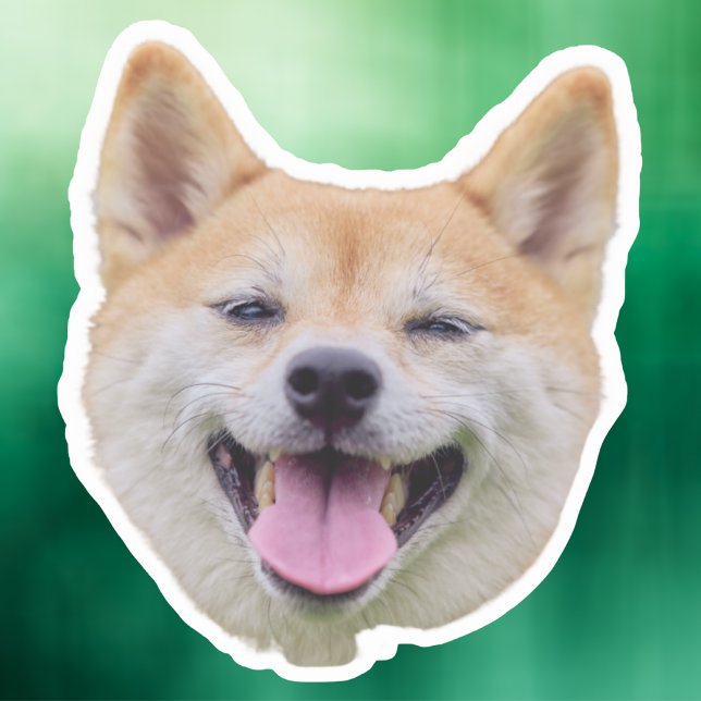 Adesivo Autocolante De Cachorro, Presentes De Cachorro, Fa (Criador carregado)