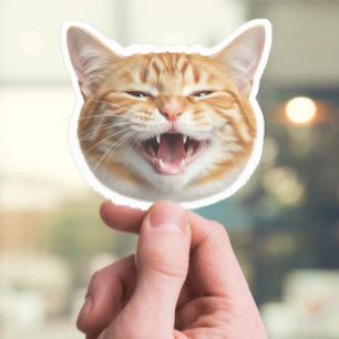 Adesivo Autocolante de Gato Personalizado - Foto de Pet Pe