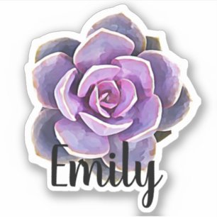 Adesivo Autocolante de nome de cactus