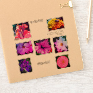 Adesivo Autocolantes