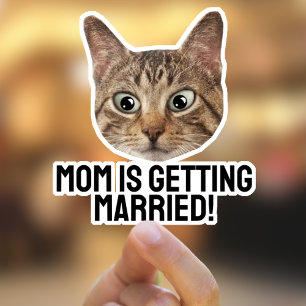 Adesivo Autocolantes de Gato de Pet Personalizados