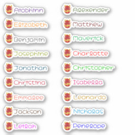 Adesivo Autocolantes de múltiplos nomes personalizados do 