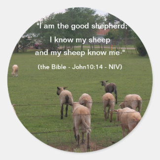 Adesivo Autocolantes/Ovinos