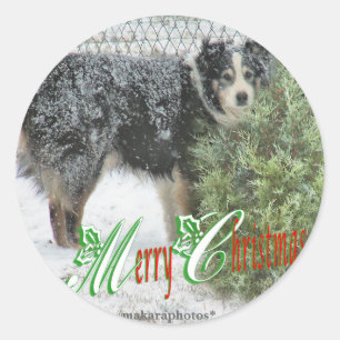 Adesivo AutocolantesMC