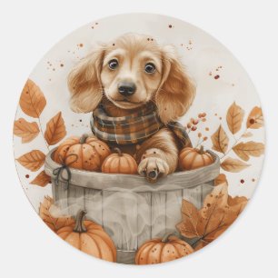 Adesivo Autumn Dachshund Dogs Pumpkin