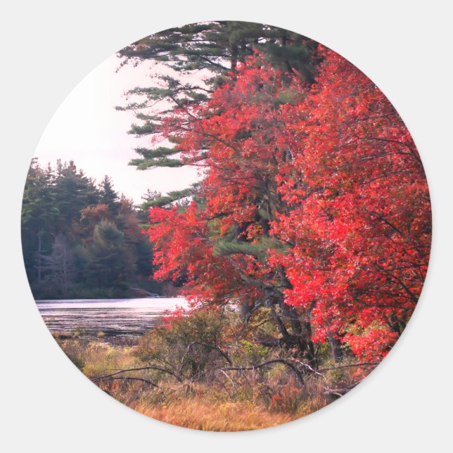 Adesivo Autumn Deixa Pond Nature (Frente)