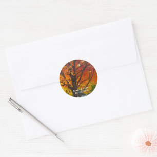 Adesivo Autumn Deixa Stickers