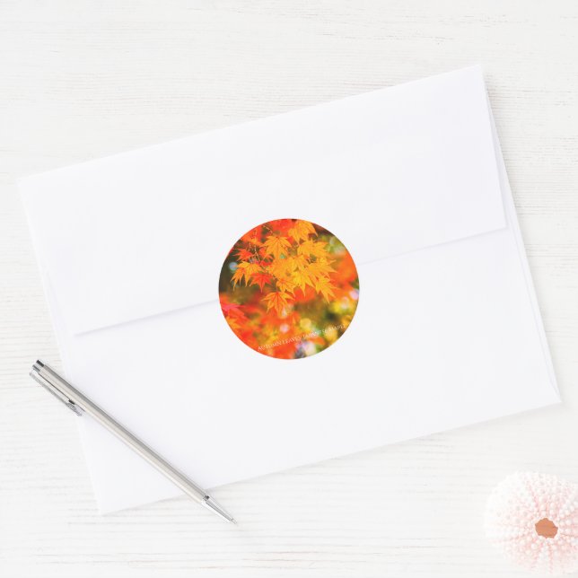 Adesivo Autumn Leaves [Round Seal] (Envelope)