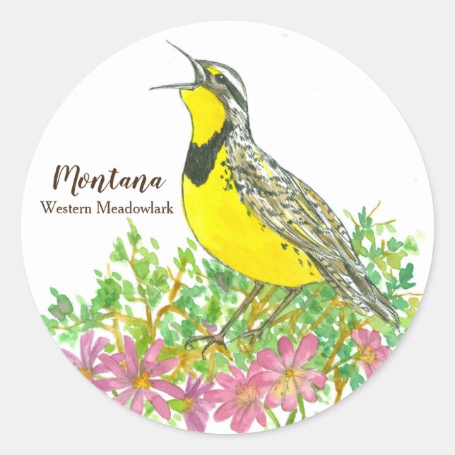 Adesivo Ave de Montana Western Meadowlark Songbird (Frente)