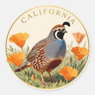 Adesivo Ave do Estado da Califórnia California Quail & Gol