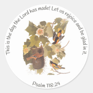 Adesivo Aves Baltimore Oriole Audubon em Árvore Poplar