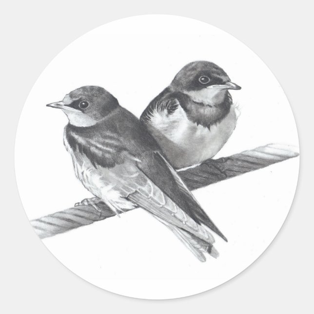 ADESIVO AVES COM FIO: BEBÊS: TRABALHO DE ARTE DE LÁPIS (Frente)