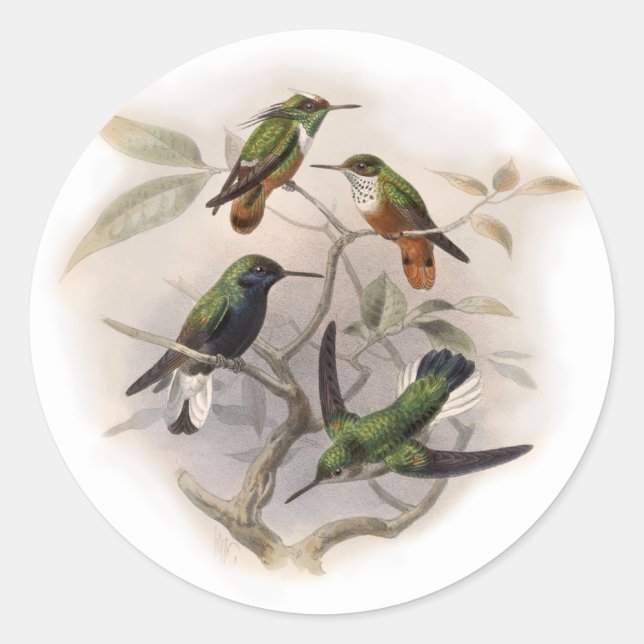 Adesivo Aves de Cama em Voo (Frente)
