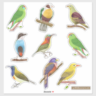 Adesivo Aves filipinas nativas/endêmicas