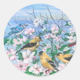 Adesivo Aves Primaveras bonitas