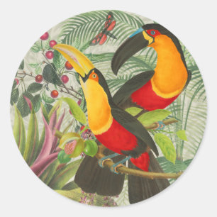 Adesivo Aves Tropicais Vibrantes Turianos Arte Selva Exóti