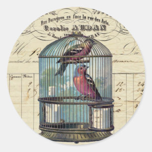 Adesivo Aves Vitorianas Vitorianas Vitorianas Vintage Amam