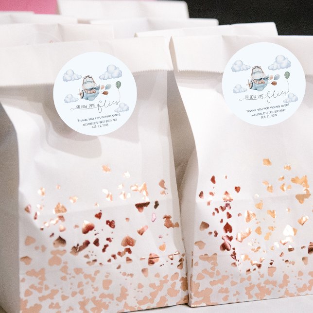 Adesivo Avião e Nuvens de Hippo, Cute, Primeiro Aniversári (Criador carregado)